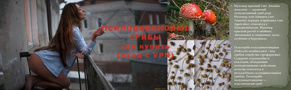 2c-b Карпинск
