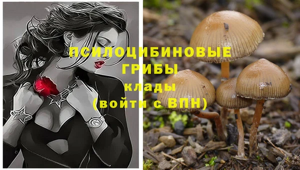 таблы Кинешма
