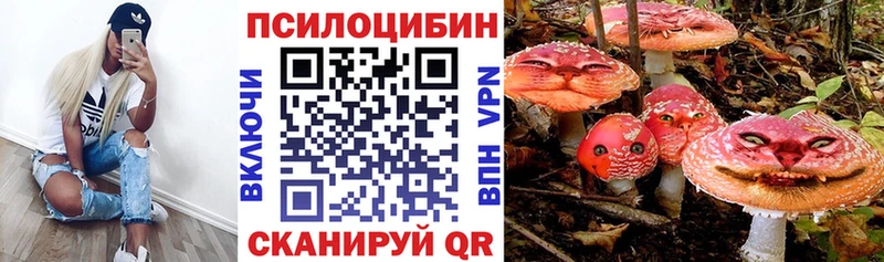Псилоцибиновые грибы Cubensis  Купить закладки  Биробиджан 